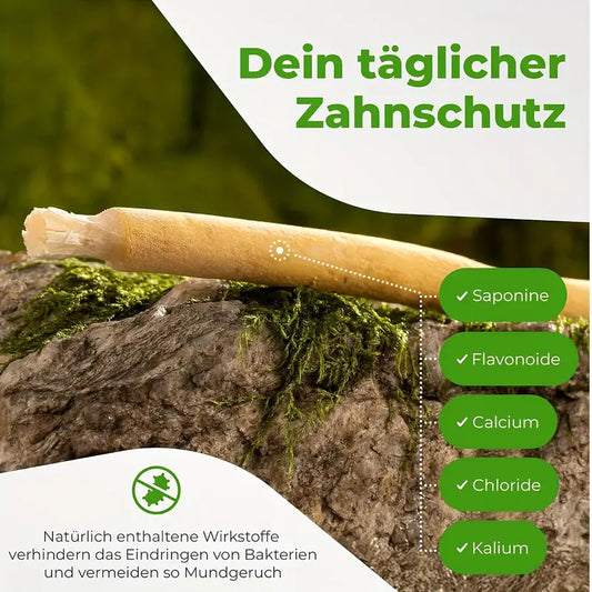 2packs/5packs FREEGRIN Miswak Toothbrushes | Traditional Arabic Plant-Based, Ancient Tooth-Cleaning Method, Soft Super-Fiber Bristles, Unisex-Friendly Oral Care Sticks for Adults