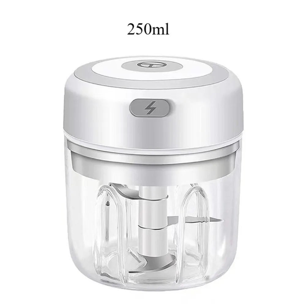 Electric Garlic Mincer 250ML, USB Rechargeable Mini Vegetable Chopper with Stainless Steel Blades, Portable Food Processor