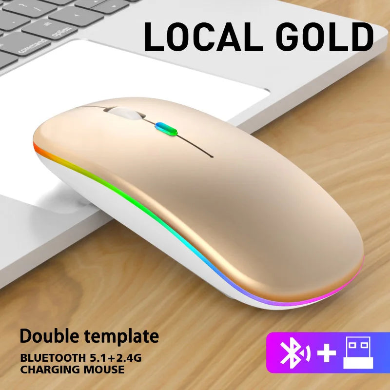 Rechargeable Wireless Mouse with Bluetooth & 2.4GHz Dual Mode, Silent Click Ergonomic RGB Mouse, 1600 DPI Adjustable for PC, Laptop, iPad, Android, TV