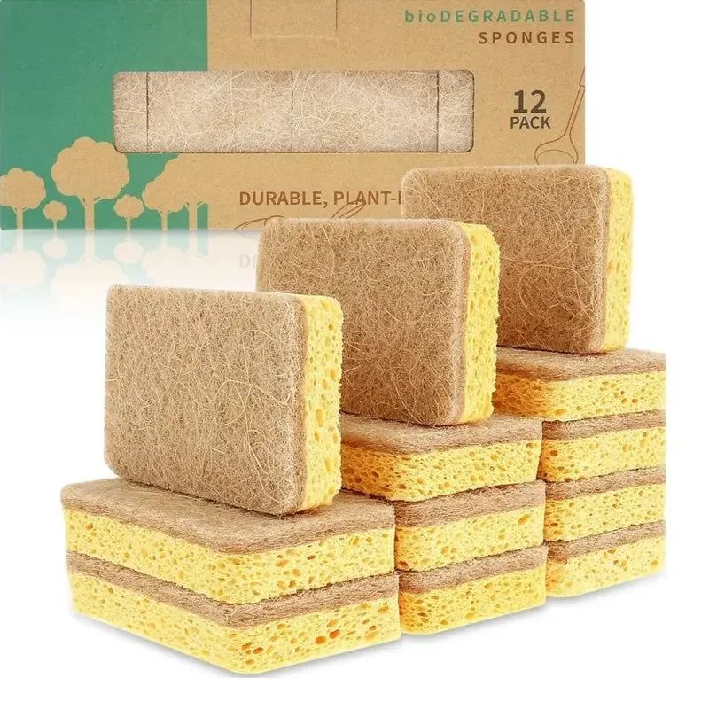 Pack of Kitchen Sponges – Natural Cellulose Dish Sponges Durable Scratch-Free Kitchen Cleaning Tools