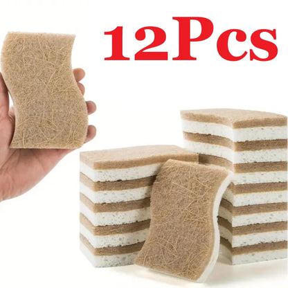 Natural Kitchen Sponge – Cellulose and Coconut Scrubber for Dishes, Pack of Household Cleaning Sponges, White