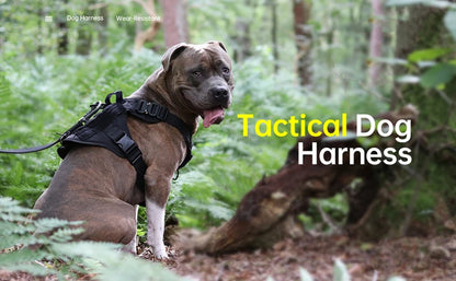 Tactical Dog Harness and Leash Set for Large and Medium Dogs, Military-Style Training Vest for German Shepherd, Golden Retriever, and Working Breeds