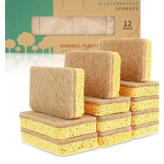 Pack of Kitchen Sponges – Natural Cellulose Dish Sponges Durable Scratch-Free Kitchen Cleaning Tools
