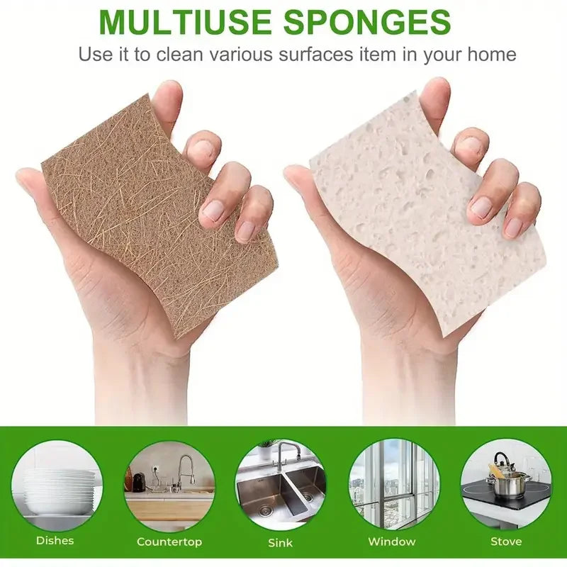 Natural Kitchen Sponge – Cellulose and Coconut Scrubber for Dishes, Pack of Household Cleaning Sponges, White