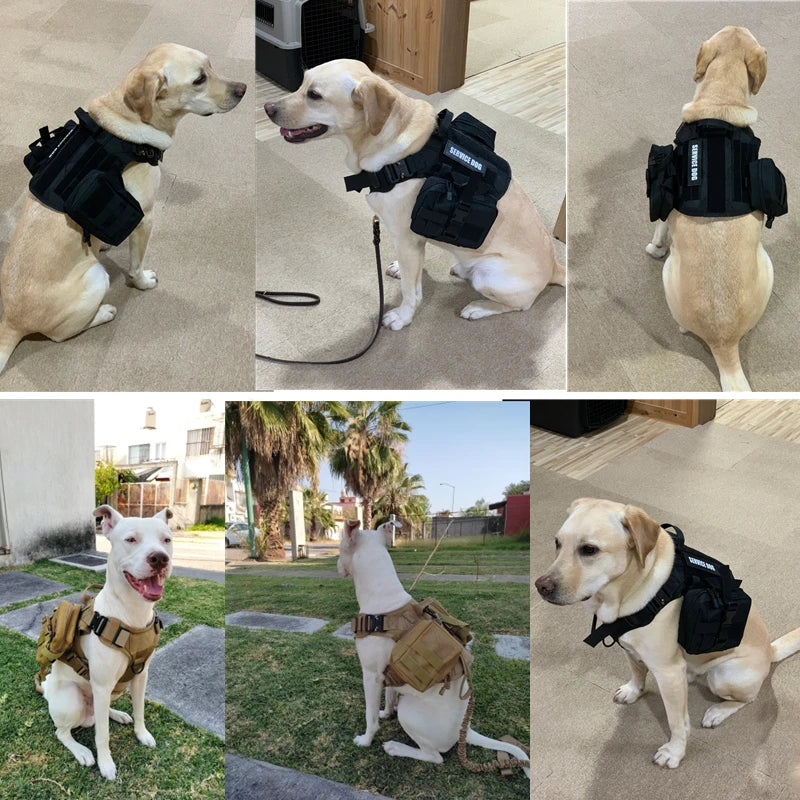 Tactical Dog Harness and Leash Set for Large and Medium Dogs, Military-Style Training Vest for German Shepherd, Golden Retriever, and Working Breeds
