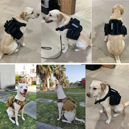 Tactical Dog Harness and Leash Set for Large and Medium Dogs, Military-Style Training Vest for German Shepherd, Golden Retriever, and Working Breeds