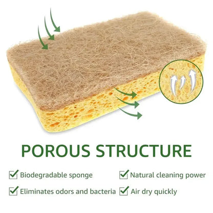 Pack of Kitchen Sponges – Natural Cellulose Dish Sponges Durable Scratch-Free Kitchen Cleaning Tools