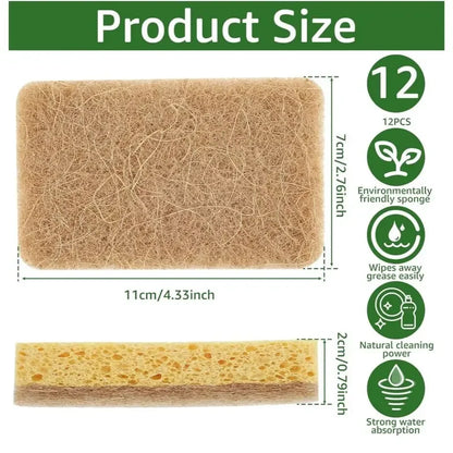 Pack of Kitchen Sponges – Natural Cellulose Dish Sponges Durable Scratch-Free Kitchen Cleaning Tools