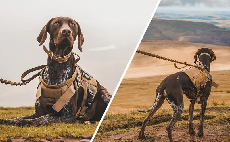 Tactical Dog Harness and Leash Set for Large and Medium Dogs, Military-Style Training Vest for German Shepherd, Golden Retriever, and Working Breeds